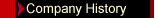 Company History